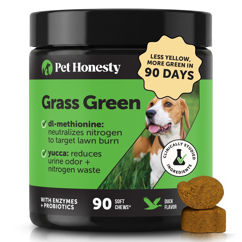 Grasgroen hondenkauwen - Urineneutralizer voor gazon, hond pee gras helpt Yard blijven Groen adresseren brandvlekjes met probiotica en enzymen (eenden)