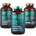 WILDE BRANDSTOFFENAminozuren, HMB en Fadogia Agrestis Complex Power & Potential Bundle