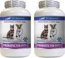 Katten Bad adem Home Remedie - PROBIOTICS voor Huisdieren - Honden Katten - Bad Gas en adem Treats - Advanced Immune Boost - cat probiotics pet ultimats - 2 flessen (120 Treats)