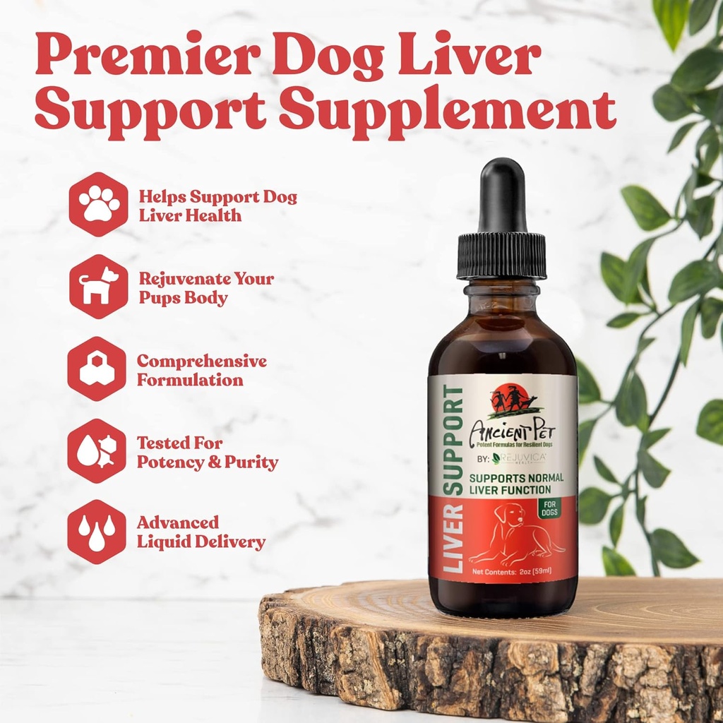 Oude Pet Lever - Geavanceerde lever Ondersteuning Supplement voor honden - vloeibare levering voor betere absorptie - Melkdistel, Dandelion, Artichoke & meer!