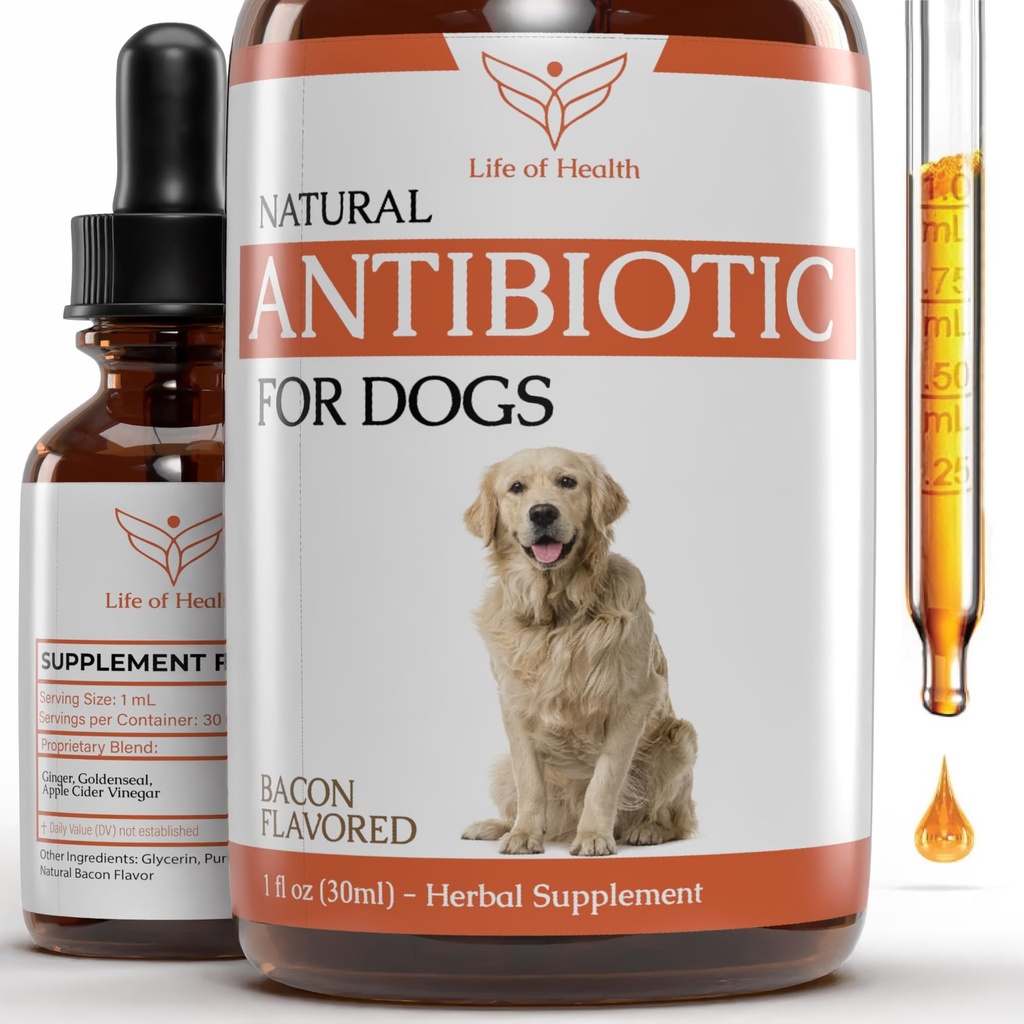 Natuurlijke antibiotica voor honden 