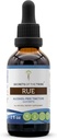 Geheimen van de stam Rue Alcohol-Free Liquid Extract, Rue (Ruta graveolens) Gedroogde kruiden Tinctuur Supplement (2 FL OZ)