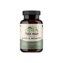 TERRA ORIGIN Healthy Mind and Memory Support Supplement | Cognitive Memory Matrix | Nootropic CDP, Bacopa, L-Tyrosine, Huperzine A, Ginko, B12 | Non GMO, Gluten Free, Dairy Free | 30 Capsules