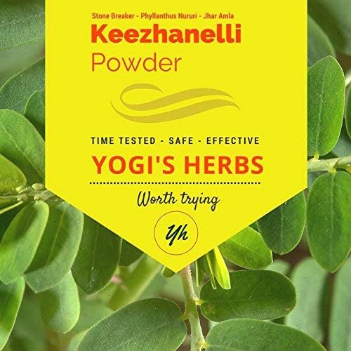 YOGIS REVS Keezhanelli Powder (Phyllanthus Niruri) 