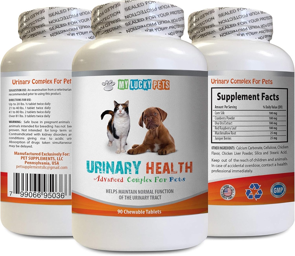 Hondenblaas Verzorging - Huisdieren Urinaire Gezondheid Complex - voor honden en katten - Advanced Bladder Ondersteuning - Honden Cranberry Supplement - 1 Fles (90 Treats)