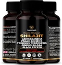 Himalaya Shilajit Capsules met Ashwagandha, Ginseng, Tribulus, Ginkgo & Black Pepper 