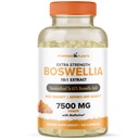 Boswellia Serrata Extract Joint Support Supplement by Powered by Plants 