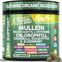 Clean Nutra Mullein Leaf Extract voor Longen Reiniging NAC supplement Chlorofyl Chlorella Vlierbessen 
