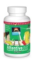 Source Naturals Attentive Child - Gezonde Cognitieve Nutriënten voor Actieve Kinderen - Verbeterde Focus & Attentie met DMAE, Magnesium, Zink & Grape Seed Extract - 60 tabletten