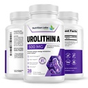 Urolithin A 500 mg, Supplement with Advanced Liposomal Delivery for Absorption, Supports Cellular Health & Healthy Aging, Gluten Free, Vegan, 28 Softgels