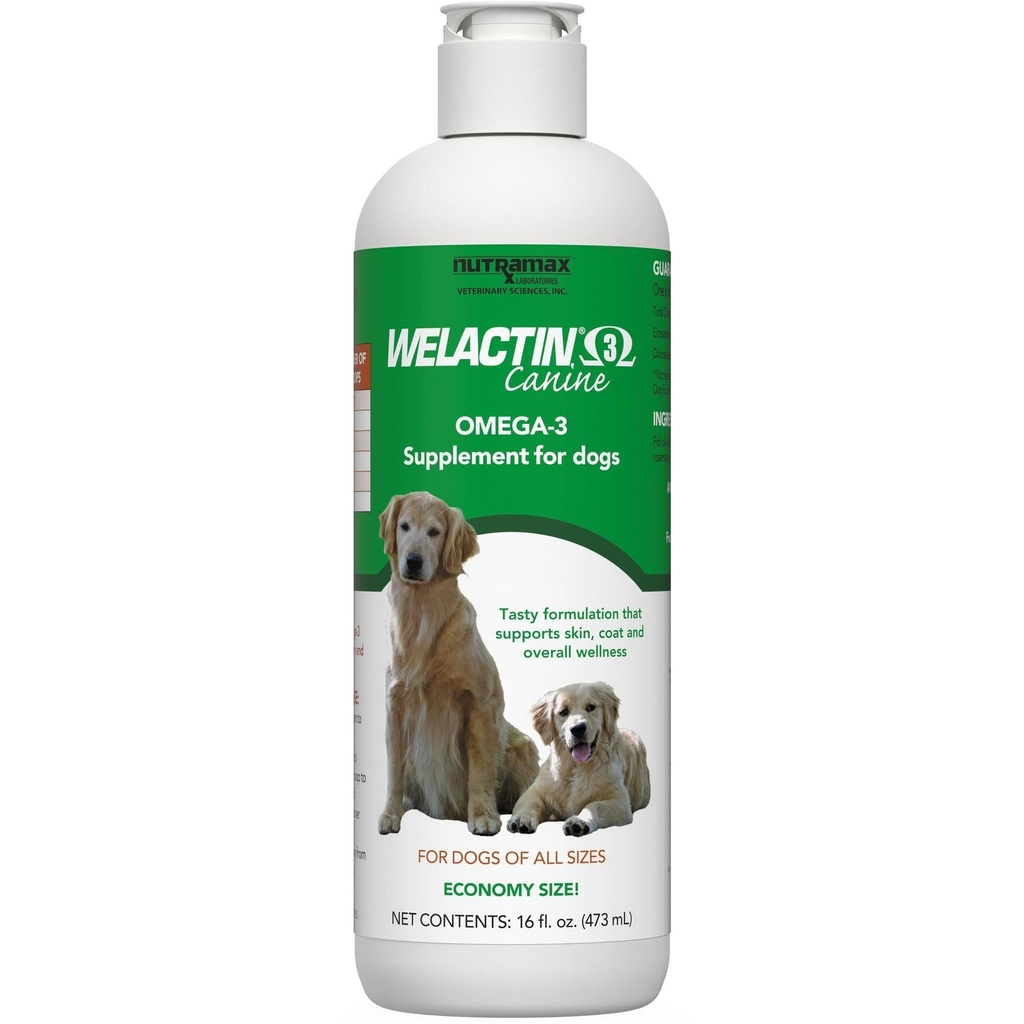 Nutramax Welactin Omega 3 Visolie voor honden, huid- en jasgezondheidssupplement, Plus Joint, Immune, Nier, en Hersenondersteuning, Premium Omega 3 vetzuren, voor honden, 16 Ounce vloeibaar