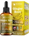 4 Oz Ginger Root Extract Liquid Drops - Stomach & Digestive Support | 2 Month Supply | - Made in USA - Ginger Root Supplement - Alcohol & Sugar Free