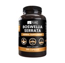 Pure originele ingrediënten Boswellia Serrata (365 capsules) Geen Magnesium of rijstvullers, altijd zuiver, lab geverifieerd