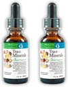 Morter Trace Minerals in Collective Suspension (2 Pack) Morter HealthSystem Best Process Allyne 