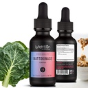 Lyfetrition Nattokinase 5,000 FU/G 118 ml, 4 FL Oz Liquid, 220 Servings, Made in USA, Quick Absorption, Potent Ingredients, Non-GMO