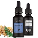 Lyfetrition Boswellia 455 mg, 4 Oz Liquid, 220 Servings, Made in USA, Quick Absorption, Quality Potent Ingredients, Third-Party Tested, Non-GMO, GMP Certified, Cruelty-Free