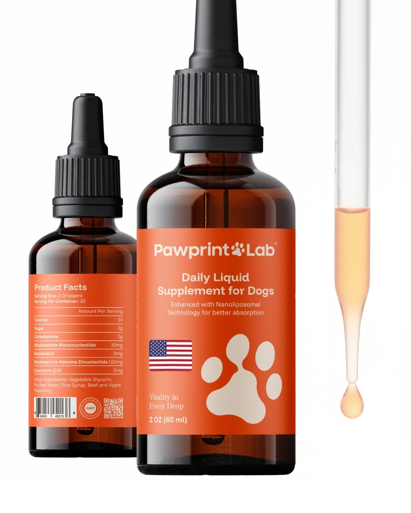 Dog Longevity Supplement NAD+ & NMN - Joint Health, Vitality & Healthy Aging - Nano liposomal Technology - Easy to Give Every Day - Better Absorption - Resveratrol - CoQ10