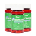 CAW Nano Cycloastragenol 10Mg | Telomerase Activation Anti-Aging | Cell Rejuvenation Immunity Boost | 30 Enteric-Coated Vegetarian Capsules (3 Bottles)