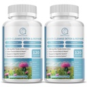 (2 verpakkingen) Melkdistelsupplement Capsules, levergezondheidsformule, met Dandelion Root, 10:1 Extract, voor leverontgifting Reiniging Ondersteuning, Digestief & Immune Systeem,240 Tel.