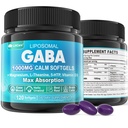 LILICARE GABA Supplement - 1000 mg Liposomal Form for Optimal Absorption,GABA with L-Theanine, Magnesium Glycinate, 5HTP, Vitamin D3 for Brain Calm, Mood, Zzz Better - Melatonin-Free 240 Softgels.