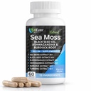 Sea Moss Capsules with Black Seed Oil & Ashwagandha – Daily Wellness & Vitality Formula for Women & Men, with Bladderwrack, Vitamin D3, Dandelion Root, Yellow Dock & More | 60 Capsules