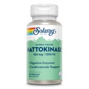 SOLARAY Nattokinase supplement - Nattokinase 100mg, 1.250 FU - Traditional Health Support Supplement - Lab geverifieerd, 60-dagen garantie - 30 porties, 30 VegCaps