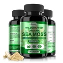 Irish Sea Moss Capsules 120ct Raw Sea Moss Wildcrafted Bladderwrack Burdock Root Capsules Super Food Immune System Digestief Health Sea Moss Pillen