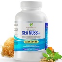 8-in-1 Sea Moss & Black Seed Complex with Ashwagandha, Turmeric, Burdock, Bladderwrack, Apple Cider Vinegar & BioPerine® – Comprehensive Daily Superfood Supportt