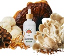 Rainbo - 11:11 Multi Mushroom Tinctuur - 11-in-1 Alcoholvrij - Dual Extract Mushroom Blend - Uitgebreide Immune Ondersteuning, Hersenen Ondersteuning, Liquid Lion's Mane & Turkey Tail, Vegan, Non GMO, 3.4 fl oz