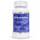 Celulas Madres Stam Cell Enhancer