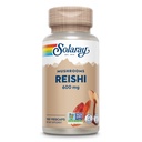 SOLARAY Reishi Mushroom 600mg - Reishi Mushroom Capsules for Immune Support - Vegan, Lab Geverifieerd - 60 dagen geld-terug garantie - 100 porties, 100 VegCaps