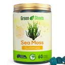 Greenshoots Sea Moss Gummies with Vitamin D3 & B12, Seaweed Extract Gummies for Adults, Pectin-Based Gelatin-Free, Fruit Flavor, 60 Count