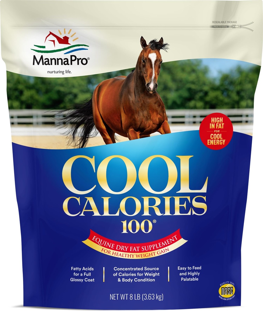 Manna Pro Cool Calories 100 – High-Calorie Dry Fat Supplement for Horses – Supports Healthy Weight Gain, Body Condition, and Performance – Equine Weight Gain Formula – 8 lb Bag