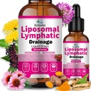 Liposomal Lymphatic Drainage Drops, 11-in-1 Organic Lymphatic Support with Red Clover Echinacea Elderberry Burdock Root for Lymph Cleanse Immune Support & Daily Detox Vegan Non-GMO