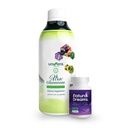 Univera Revitalize & Rest Combo Pack for Enhanced Wellness, Natural Energy for Day, Diep slapen in de nacht met Xtra Concentrate & Natural Dreams