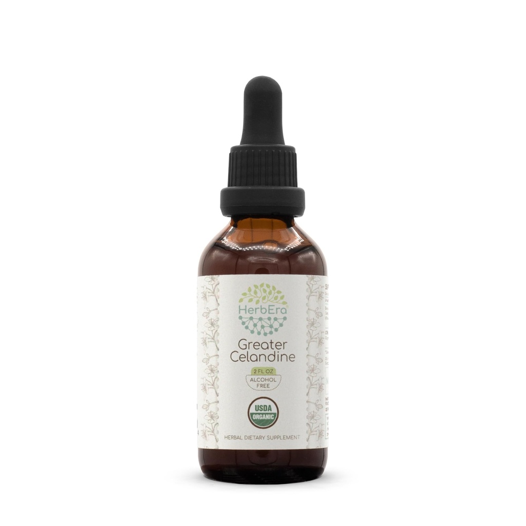 HerbEra Greater Celandine Organic Tincture | Alcohol-Free Extract, High-Potency Herbal Drops | Certified Organic Celandine (Chelidonium Majus) Dried Plant (2 oz)