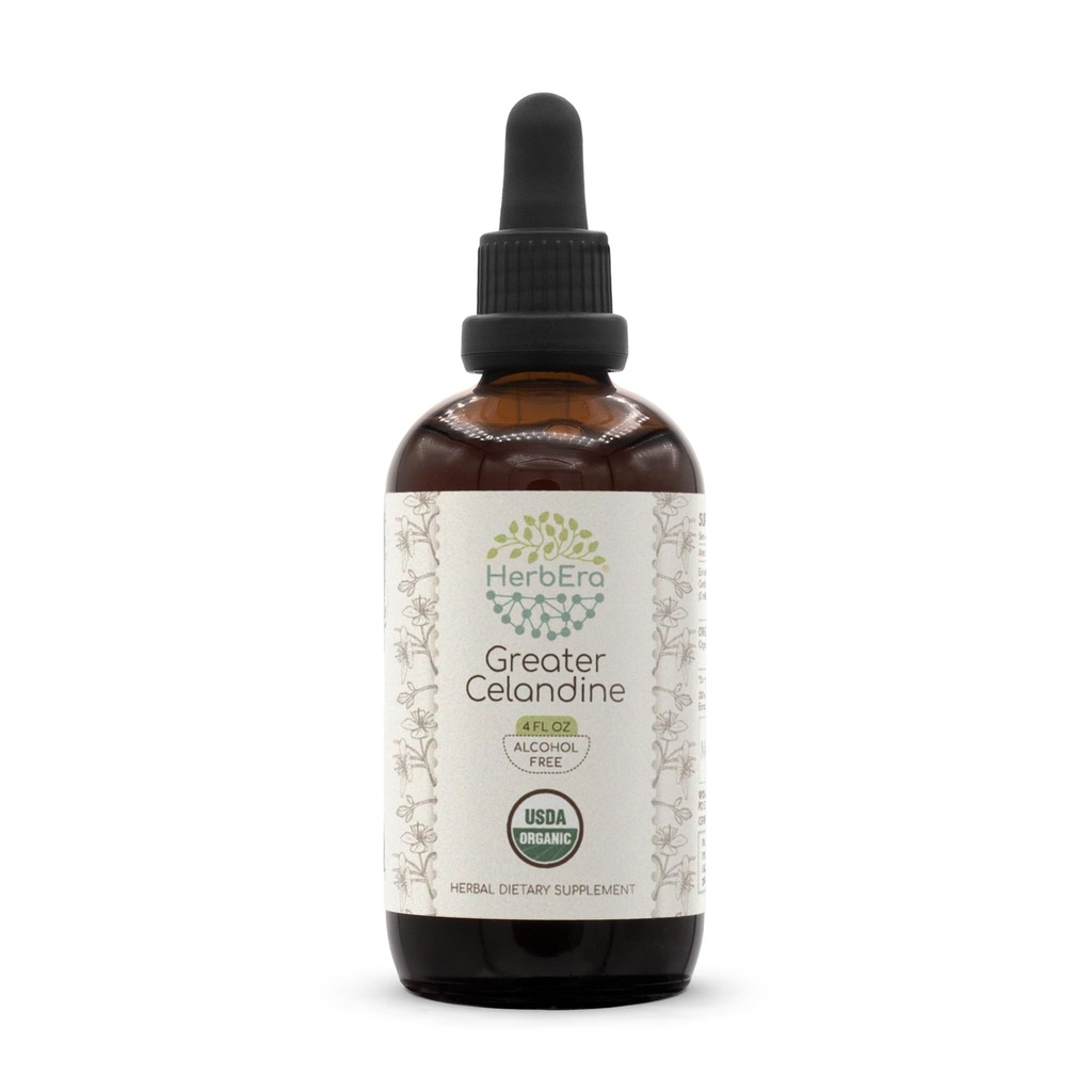 HerbEra Greater Celandine Organic Tincture | Alcohol-Free Extract, High-Potency Herbal Drops | Certified Organic Celandine (Chelidonium Majus) Dried Plant (4 oz)