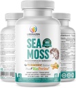 Biologische Irish Sea Moss Pillen - Wildcrafted Dr Sebi Inspired Seamoss Blend with Turmeric, Burdock Root & Bladderwrack, Enhanced with Black Pepper - 60 Capsules