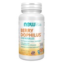 NOW Foods Supplementen, BerryDophilusTM met 2 miljard, 10 Probiotische Strains, Xylitol Zoetgemaakt, Strain Geverifieerd, 60 Kauwtabletten, verpakking kan variëren