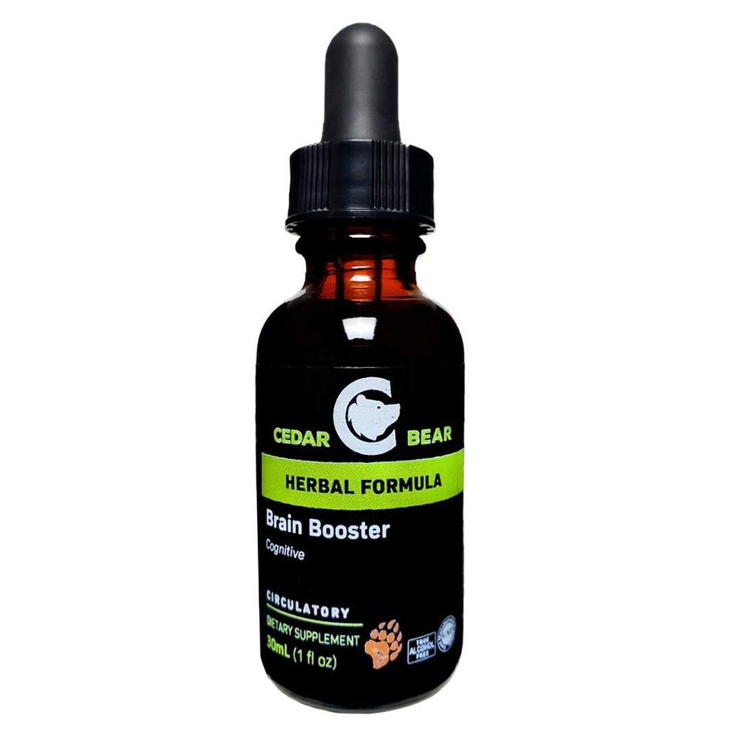 Cedar Bear Brain Booster een vloeibare kruidensupplement Dat is een algemene geheugen en vitaliteit ondersteuning 1 Fl Oz
