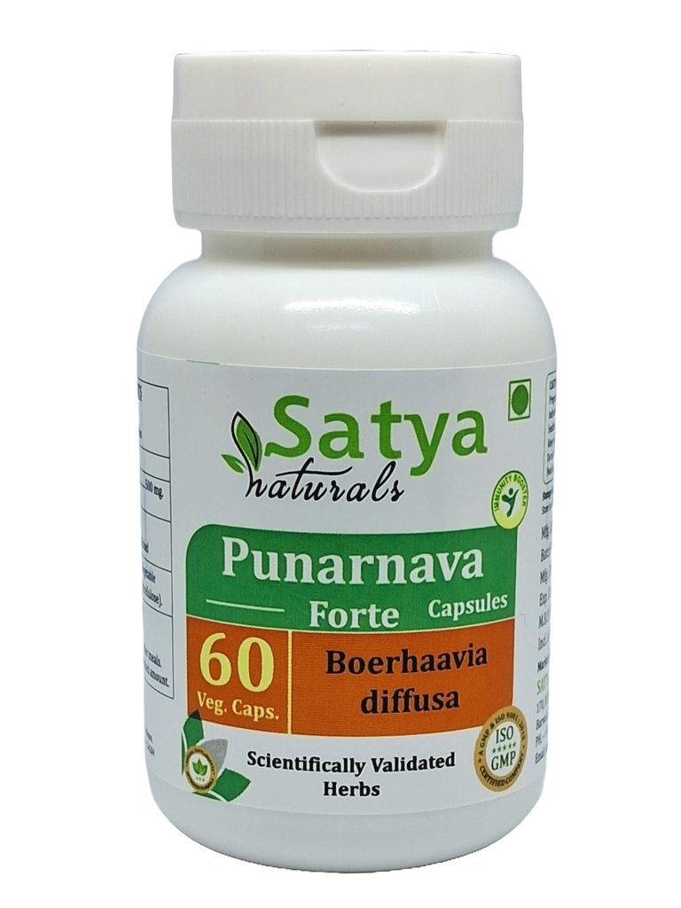 Punarnava Forte Capsule 500 mg. 60 Veg. Capsule | Punarnava (Boerhaavia Diffusa) Extract Capsules for Men and women | Ayurvedic Herbal Supplement/Remedies | 10:1 Forte (1 Bottle of 60 Capsules)