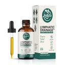 Lymphatic Drainage Drops 11-in-1 – Organic Lymph Cleanse & Detox Support Liquid – Cleavers, Dandelion, Burdock, Echinacea & Elderberry – Vegan, Non-GMO, Alcohol-Free for Adults, 2 Fl Oz