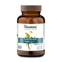 Himalaya Dandelion - Dandelion Root Supplement Supporting Daily Wellness and Health - Vegan, Gluten Free, 1000 mg, 60 Capsules