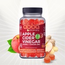 Apple Cider Vinegar with Ginger Gummies, 500mg, Vegetarian, Gluten Free, 60 Count