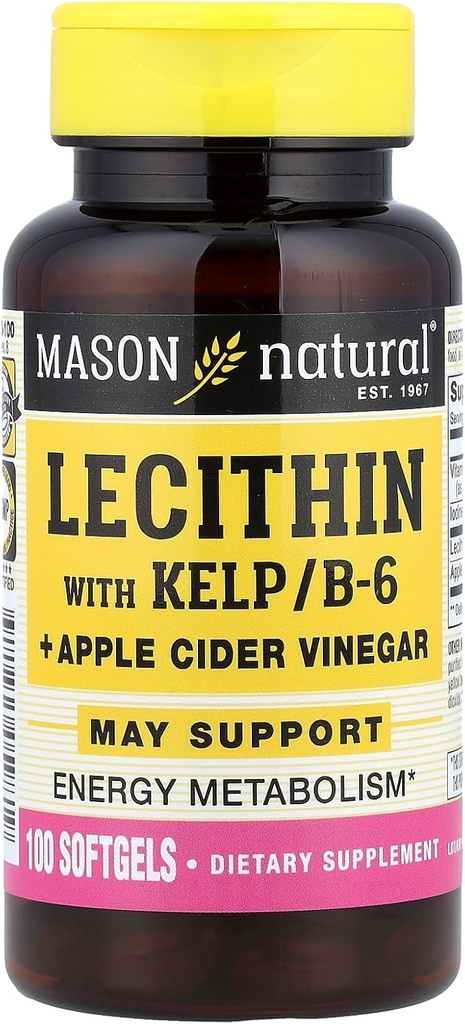 MASON NATUURLIJKE Lecithine met KELP, B 6 Plus Cider Vinegar