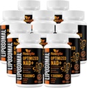 1300 MG Liposomal NAD+ Supplement  Effetief Boosten NAD+ Supplement voor Veroudering Defese, Cellular Energy, Levensduur 600 Tellen