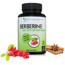 HERHALING VAN DE DOCTOR Berberine met Ceylon Cinnamon - 1200mg Berberine & 100mg Biologische Ceylon Cinnamon - 120 Veggie Capsules, Gezond Immuunstelsel & Gastro-intestinale Wellness