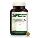 Standard Process Cataplex B2 Nervous System Health Dietary Supplement - Non-Dairy & Non-Soy - Brain Health Support - 360 Tablets