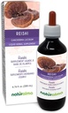 Naturalma Reishi (Ganoderma lucidum) Fungus or Mushroom Alcohol-Free Tincture - 6.76 fl oz Liquid Extract in Drops - Herbal Supplement - Vegan