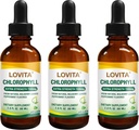 Lovita Chlorofyl Liquid Drops, High Potency 120 mg/ml, 7.200 mg per fles, Natural Energy Booster & Immune Support, Internal Deodorant, Skin Health, Vegan & Non-GMO, Mint Flavor, 180 Servers